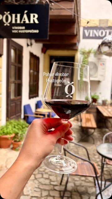 Kam na víno v Hustopečích? 🍷
Zkuste @pohar_vinobar, který je přehlídkou místních vinařů z VOC Hustopečsko. Zavede vás sem průvodce @gourmetjiznimorava 
Bývala to spolkovna vinařů, pak se z toho dvě sestry – milovnice vína z rodinného vinařství – rozhodly udělat autentický vinný bar s přehlídkou lokální produkce. 
Dostanete tu limonádu z hroznů 🍇, sýrový talíř 🧀 s důrazem na suroviny z okolí a také filtrovanou kávu z QB coffee roasters ☕️.
Pravá chuť a atmosféra jižní Moravy se ukrývá na dvorečku v Hustopečích, tak se sem nechte dovést průvodcem Gourmet Jižní Morava 🥂