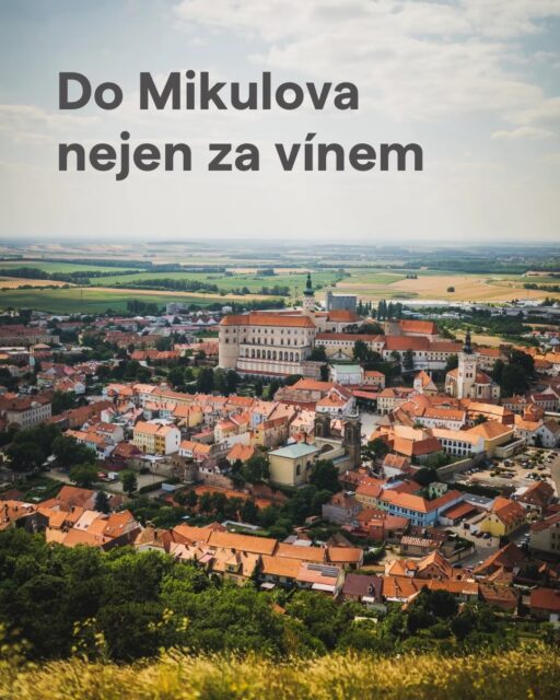 Mikulovského gastroprůvodce? Máme!
Mikulov je synonymem vína i skvělé gastronomie. 🍷Před tradičním @palavskevinobrani vám tak mohou přijít vhod naše tipy, abyste nebloudili a šli najisto.
Pojďte s námi mrknout, kam v @mikulovme na snídani, oběd, večeři či na skleničku a něco malého👇🏻
▪️ @moji.mikulov 🍳
▪️ @korek_mikulov 🍽️
▪️ @pedrosstreetfood 🍔
▪️ @popies_mikulov 🥐
▪️ @4816cafebar ☕️
▪️ @kvasinky__mikulov 🥖
▪️ @hotelryzlink 🥩
▪️ @bistro.drogerka.mikulov 🍤
▪️ @vinoradosti 🍴
▪️ @lontmikulov 🥂
Užijte si vinobraní a při cestách za top gastronomií vsaďte na průvodce @gourmetjiznimorava 📒