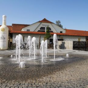 Gourmet Jižní Morava - víno a vinařství jižní Morava - Château Valtice - Vinné sklepy Valtice