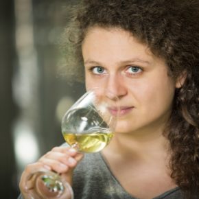 Gourmet Jižní Morava - víno a vinařství jižní Morava - Vinařství Volařík Mikulov