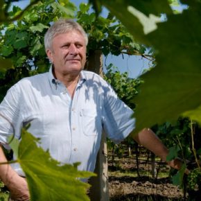 Gourmet Jižní Morava - víno a vinařství jižní Morava - Vinařství Volařík Mikulov
