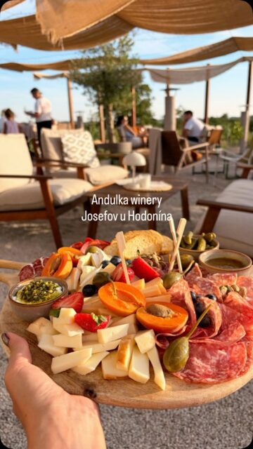 Netřeba jezdit za hranice Jihomoravského kraje, abyste si vychutnali chutě, vůně a výhledy jako na slunném jihu. ☀️
@andulka_winery je malý domeček v obklopení vinic v Josefově na Hodonínsku. Čeká vás tu skvělé víno, limonády a italské delikatesy. A k tomu věčně usměvavá provozní.
Zajeďte si pro dovolenkový zážitek dle doporučení průvodce @gourmetjiznimorava 🍇