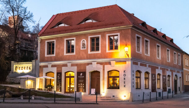 Obrázek restaurace