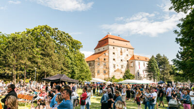 Náhledový obrázek příspěvku