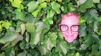 Náhledový obrázek příspěvku